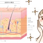 スキンケア＝自ら抱えた湿潤を保護すること